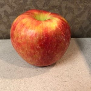 Meet your Posher, Sha